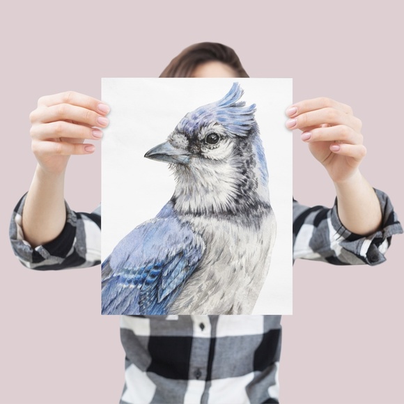 Blue Jay Bird Portrait Wall Art Watercolor Print Poster Unframed - Picture 5 of 9